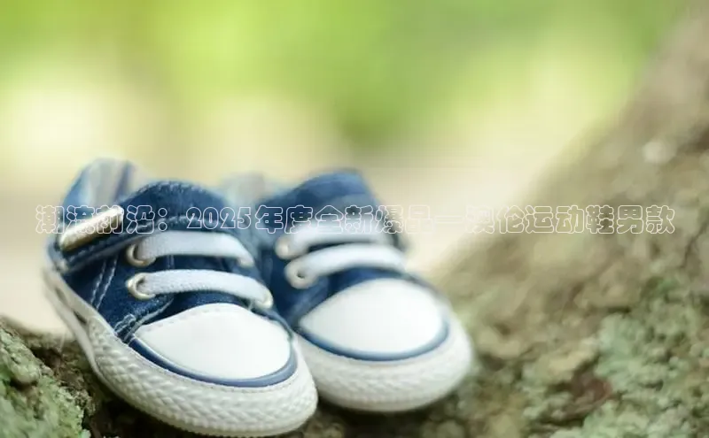 龙八头号玩家账号